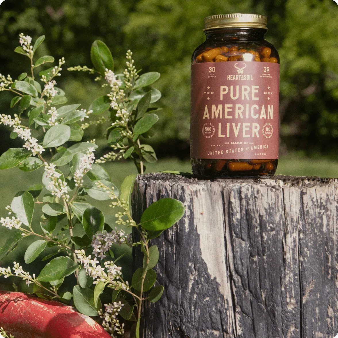 Pure American Liver - Image 5